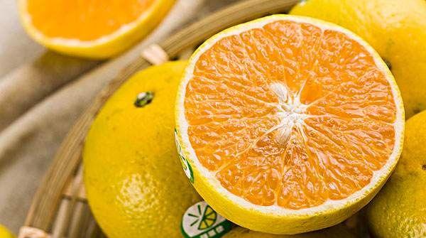 移植后橙子可以吃吗
