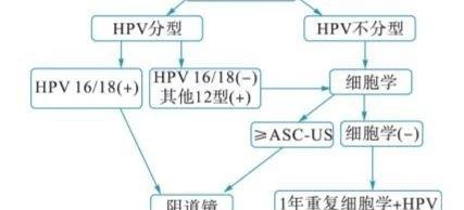HPV治疗导图
