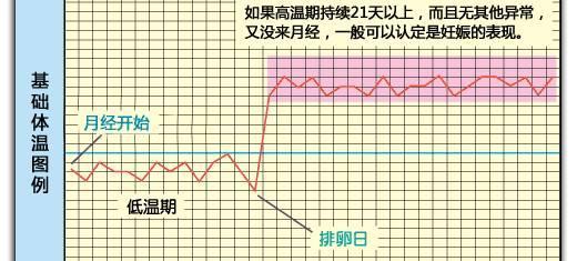 基础体温测量