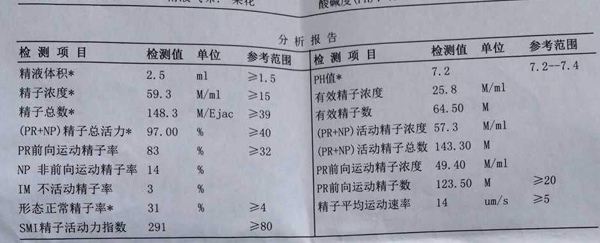 人工授精洗涤后报告图