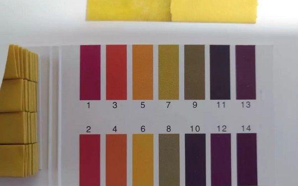 精子质量标准颜色正常图片