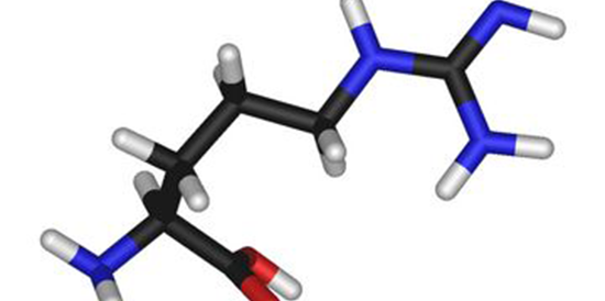 精氨酸的作用