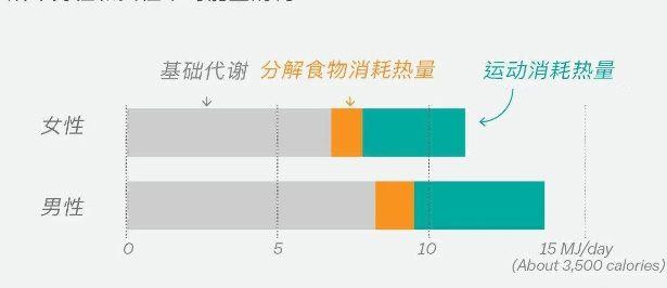 男性基础代谢率正常范围是多少