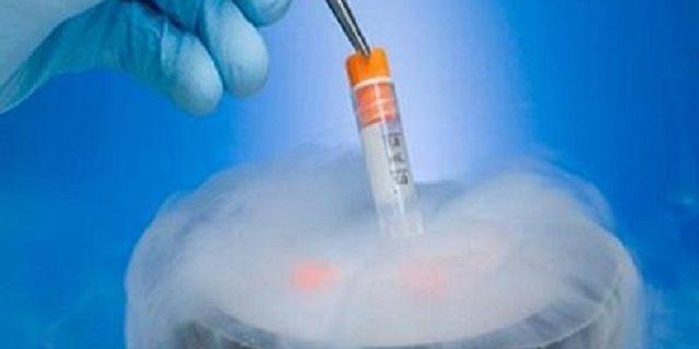 胚胎冷冻技术是目前保存生育能力较有效的方法.jpg