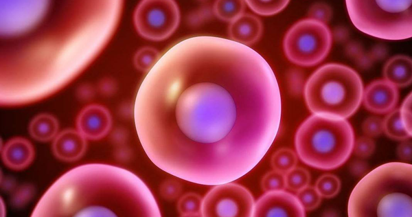 高质量卵泡能够提高胚胎等级