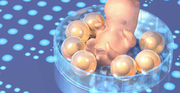 卵泡过多应该患者应该要避免出现卵巢过度刺激