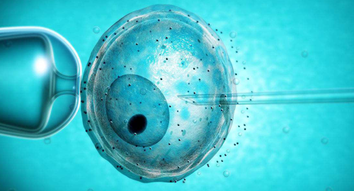 基础卵泡数量与胚胎配成数