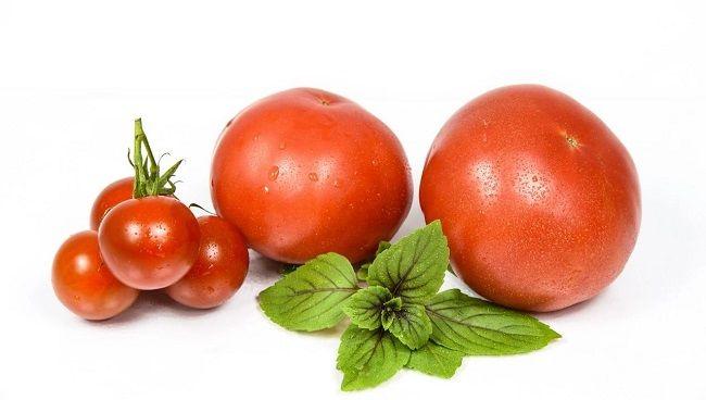 番茄有助于改善男性精子质量