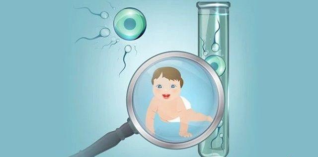 胚胎质量决定试管婴儿成功率
