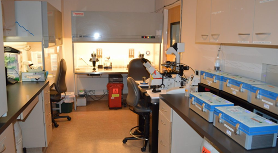 太平洋孕育中心胚胎实验室