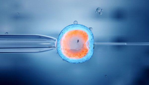 胚胎冷冻