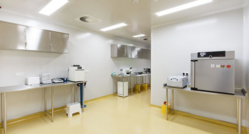 先进的IVF实验室