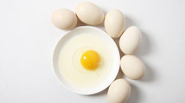 鸡蛋为高蛋白食物