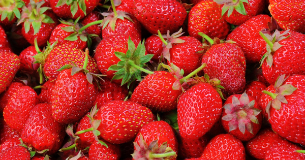 孕妇吃草莓的功效与作用