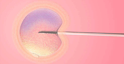 子宫内膜厚度适合试管婴儿