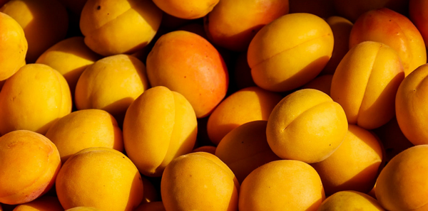孕妇吃杏子的功效与作用