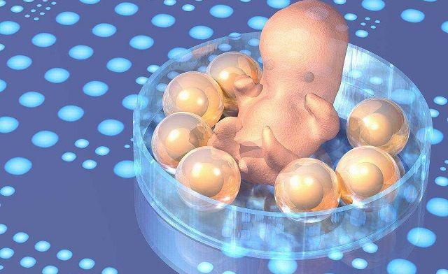 试管婴儿是体外受精－胚胎移植技术的俗称.jpg