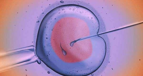 胚胎移植前注意事项