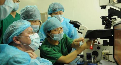 胚胎移植手术过程