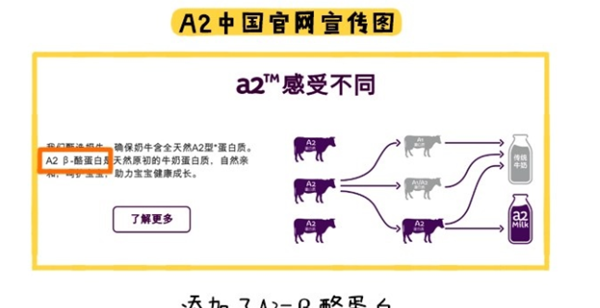 A2中国官网宣传图