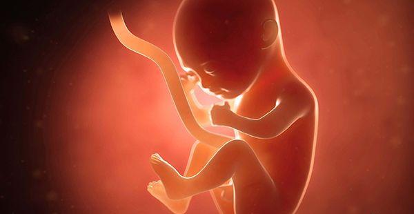 胎儿在子宫内细微小动作察觉不出胎动也有可能是宝宝在子宫内游泳