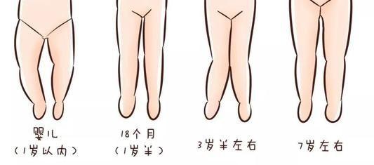 婴儿腿型变化过程图