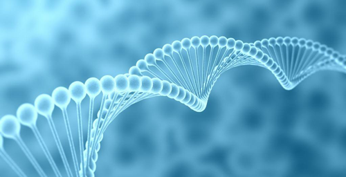 DNA检查是风疹病毒常见方式之一