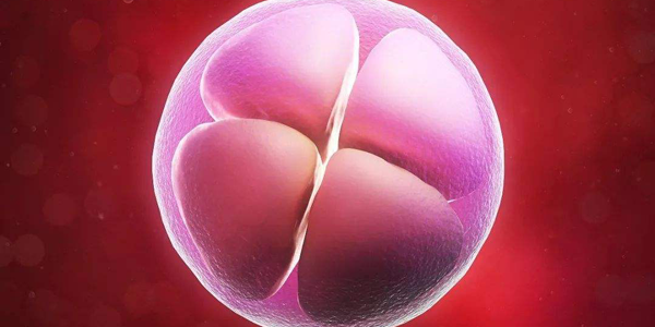 促排卵需要注意卵巢刺激过度综合征