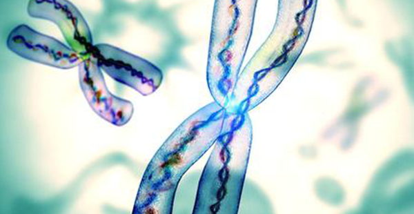 染色体异常可以做试管吗