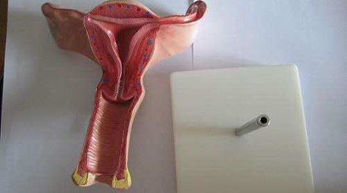 子宫内膜厚度正常值