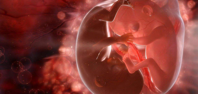 胎停育有哪些症状