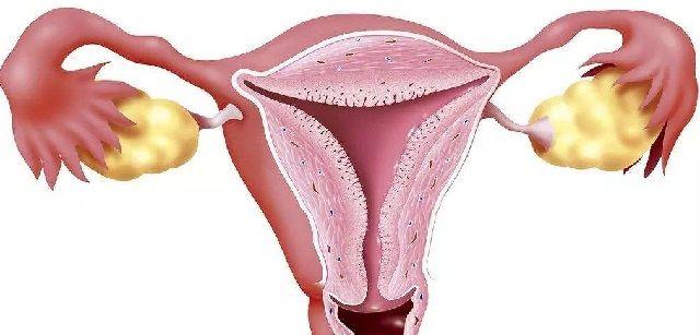 评估卵巢功能