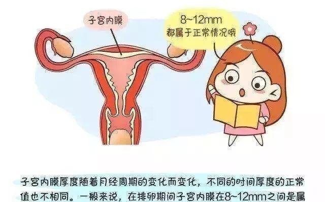 子宫内膜影响试管婴儿成功率