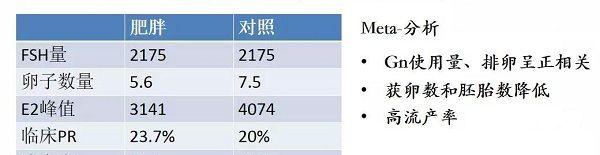 肥胖影响试管婴儿治疗效果