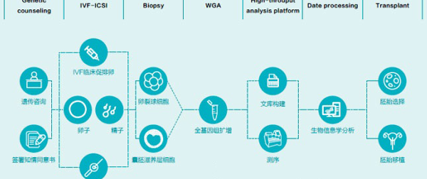第三代试管婴儿检测流程