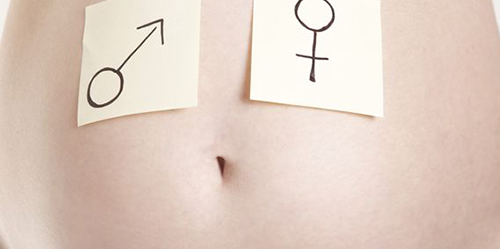 如何判断胎儿性别