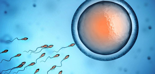第三代试管婴儿可以排除胚胎染色体带来的问题