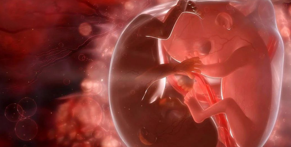 激素异常也会导致胎停育