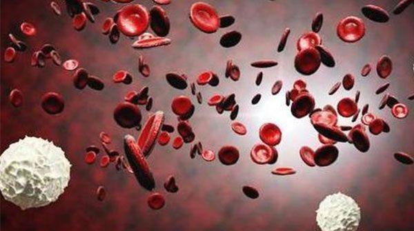 一般血常规仅抽取3ml血液
