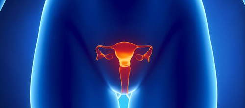 卵巢功能低下选择抗结剂方案是较好的选择
