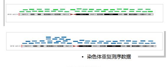 染色体异常判定原理