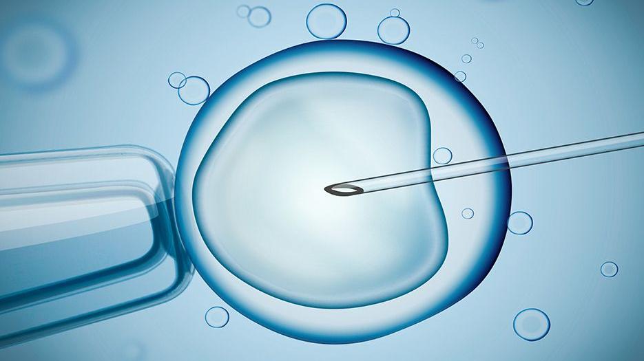 2023国内申请捐卵试管需要多少钱？试管供卵生子的流程是怎样的？