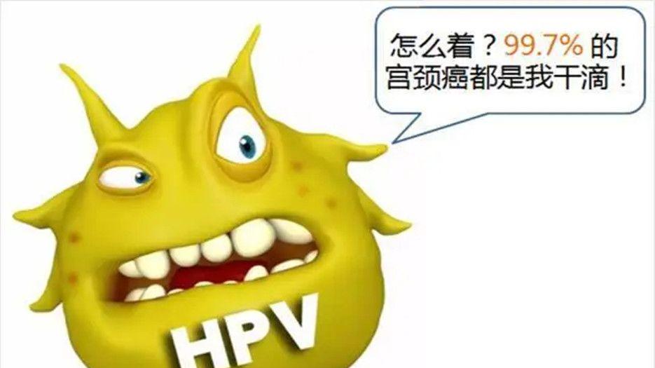 hpv._副本.jpg