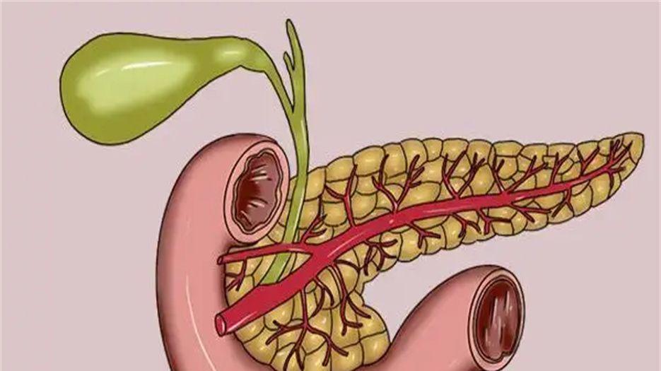 胰腺炎.jpg