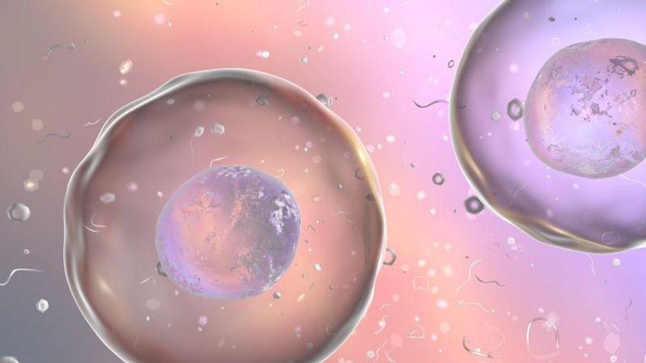 湖南长沙正规助孕机构有哪些？地下生殖中心供卵可靠吗？