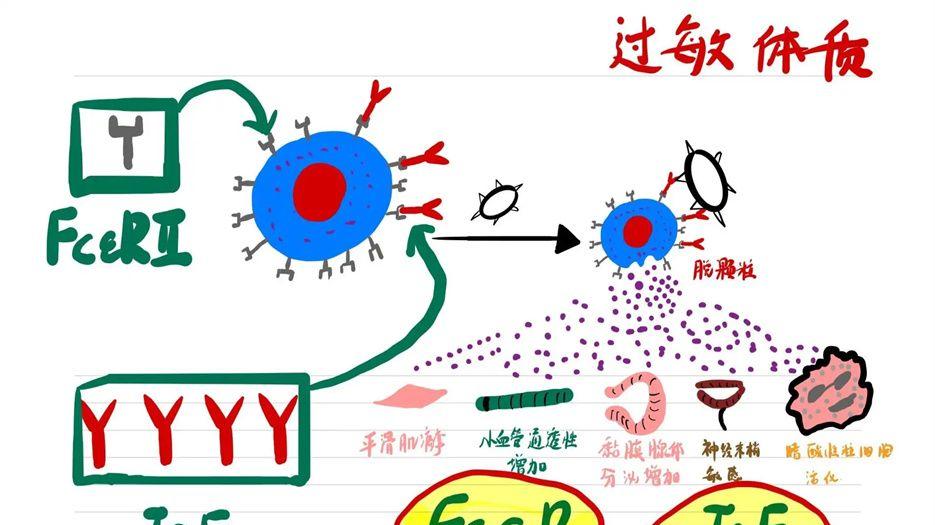 过敏体质.jpg