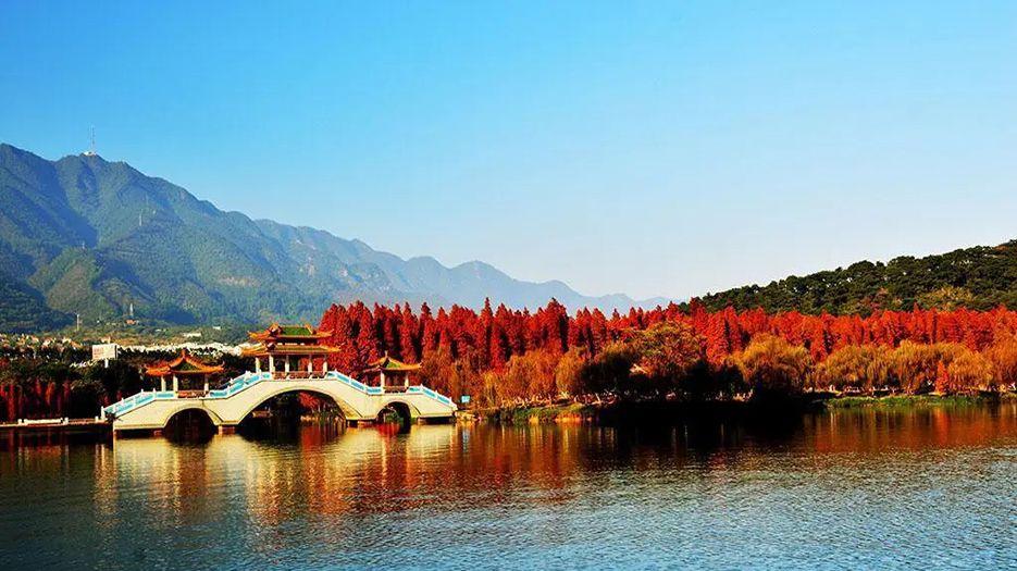 广东.webp (7).jpg