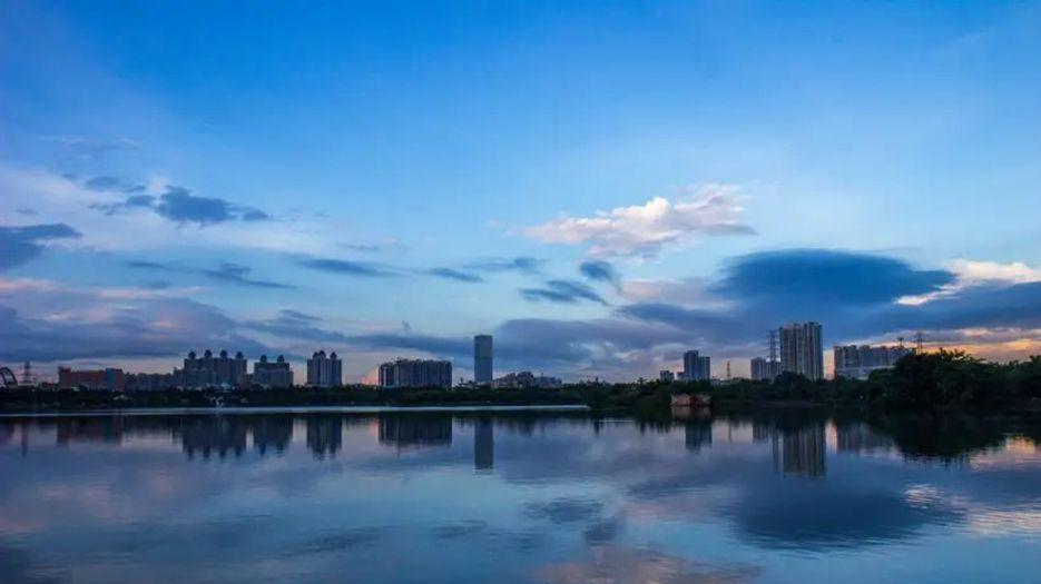 广东.webp (8).jpg