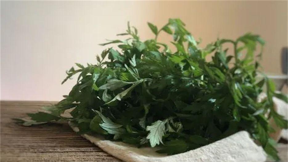 艾草.jpg