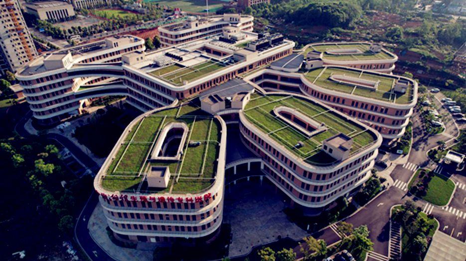 2023湖南民间供卵试管机构名单公布，附供卵试管成功率最高医院简介.jpg